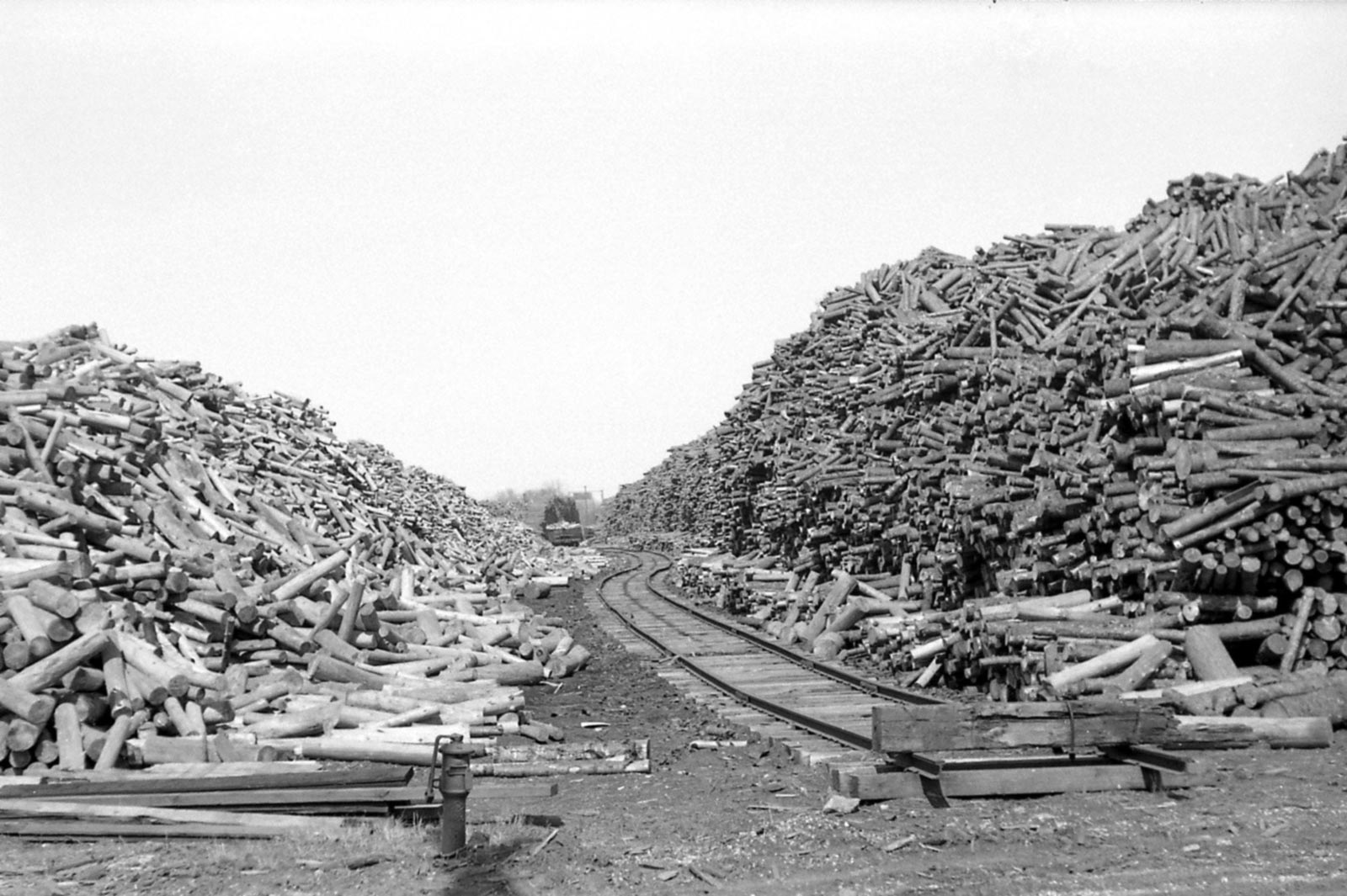 Lumber Piles in the Hammermill Yard